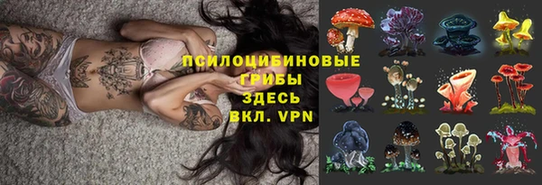 крисы Абдулино
