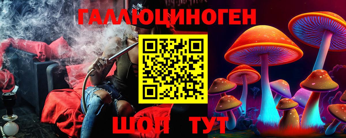 Знаменск  Псилоцибиновые грибы Cubensis  Вход с VPN  Псилоцибиновые грибы Cubensis 