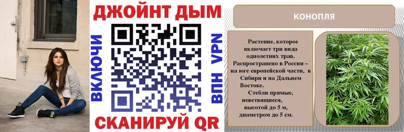 Канабис конопля  продажа наркотиков  Знаменск 